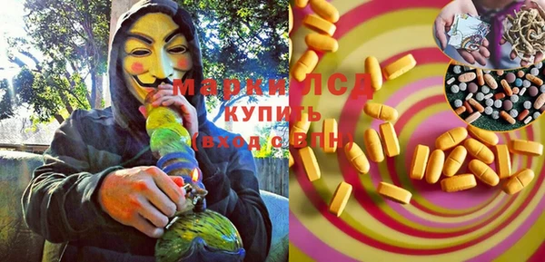 индика Абаза