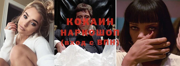 индика Абаза