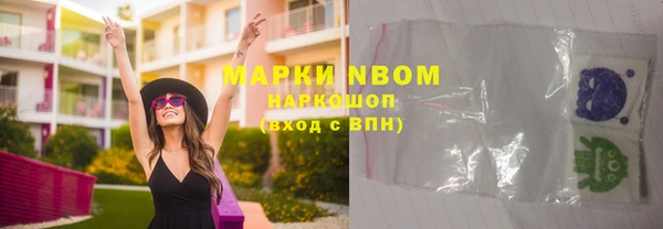 индика Абаза