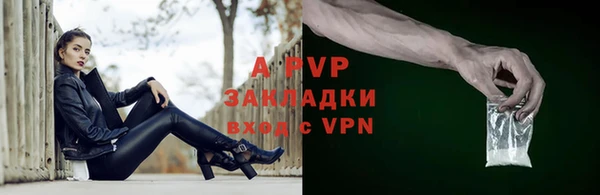 индика Абаза