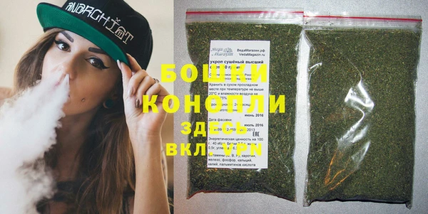 индика Абаза