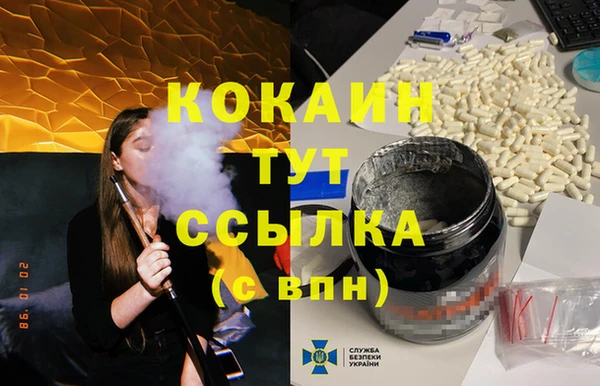 индика Абаза