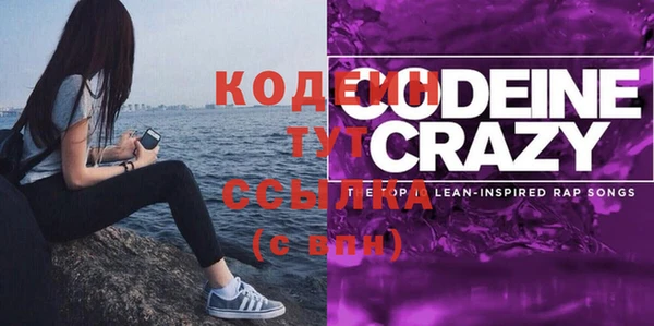 индика Абаза