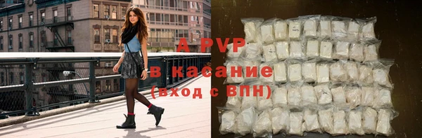 индика Абаза