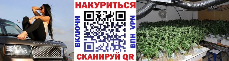 наркошоп  Южа  Конопля SATIVA & INDICA 